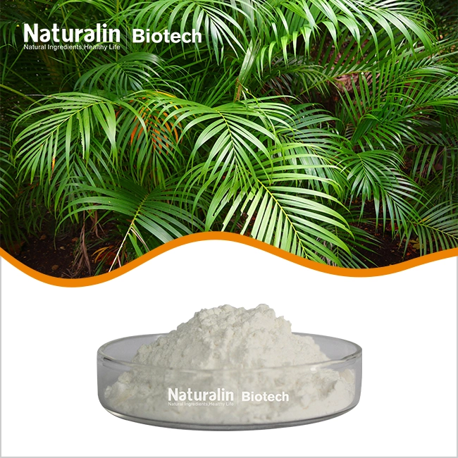 Saw Palmetto Extract Powder Saw Palmetto Extract Powder